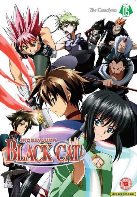 Black Cat